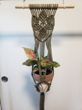 Load image into Gallery viewer, Wall Hanging Planter Floral Pattern