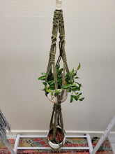 Load image into Gallery viewer, Double Ceiling Hanging Planter