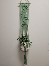 Load image into Gallery viewer, Wall Hanging Planter Wandering Vine