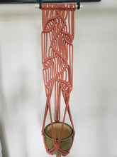 Load image into Gallery viewer, Wall Hanging Planter Wandering Vine
