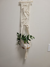 Load image into Gallery viewer, Wall Hanging Planter Wandering Vine
