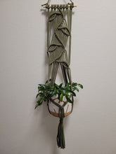 Load image into Gallery viewer, Wall Hanging Planter Wandering Vine
