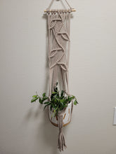Load image into Gallery viewer, Wall Hanging Planter Wandering Vine
