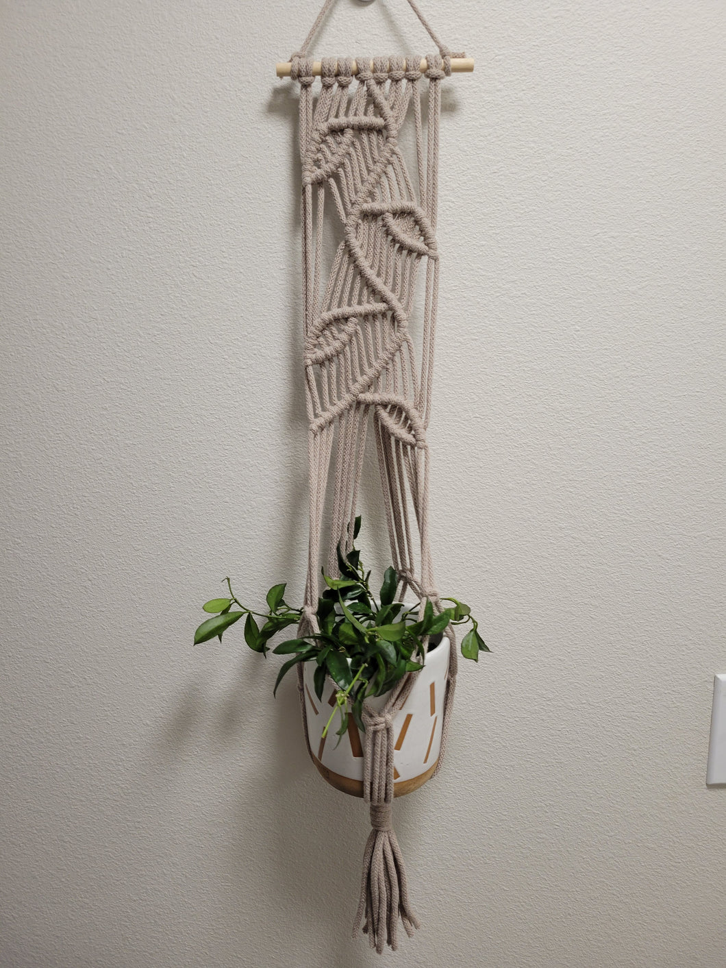 Wall Hanging Planter Wandering Vine