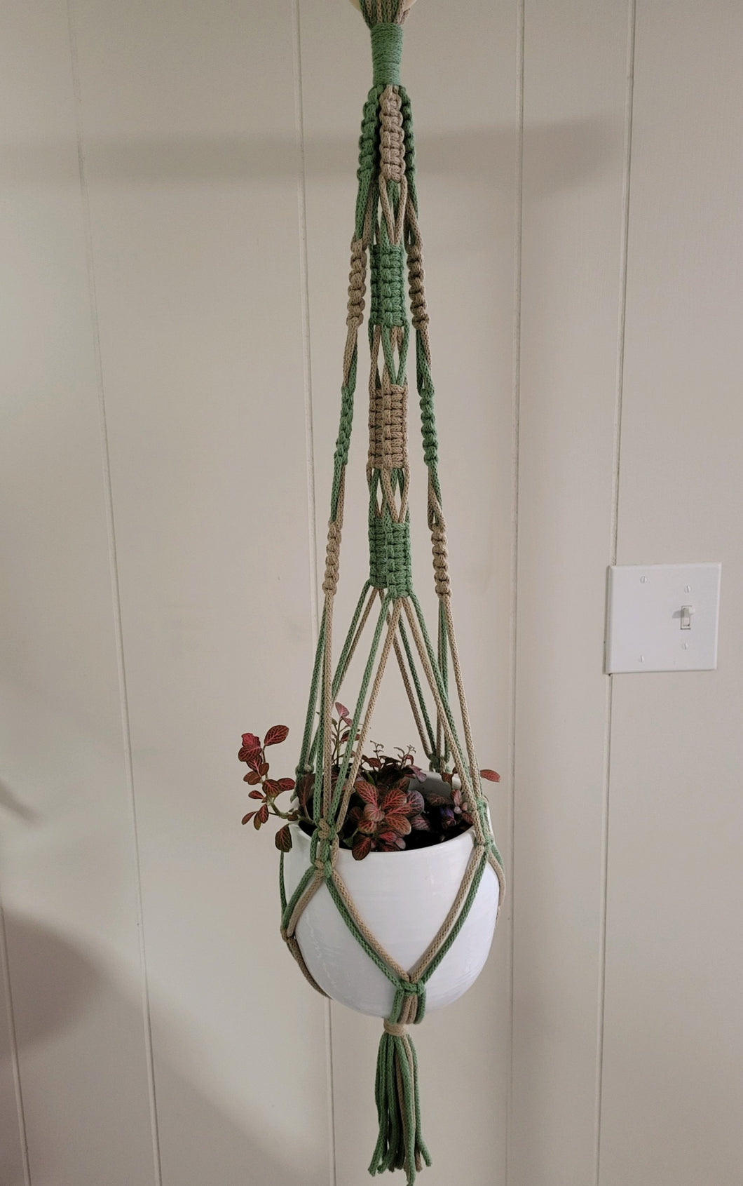 Multicolor Ceiling Hanging Planter