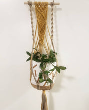 Load image into Gallery viewer, Wall Hanging Planter Style 2

